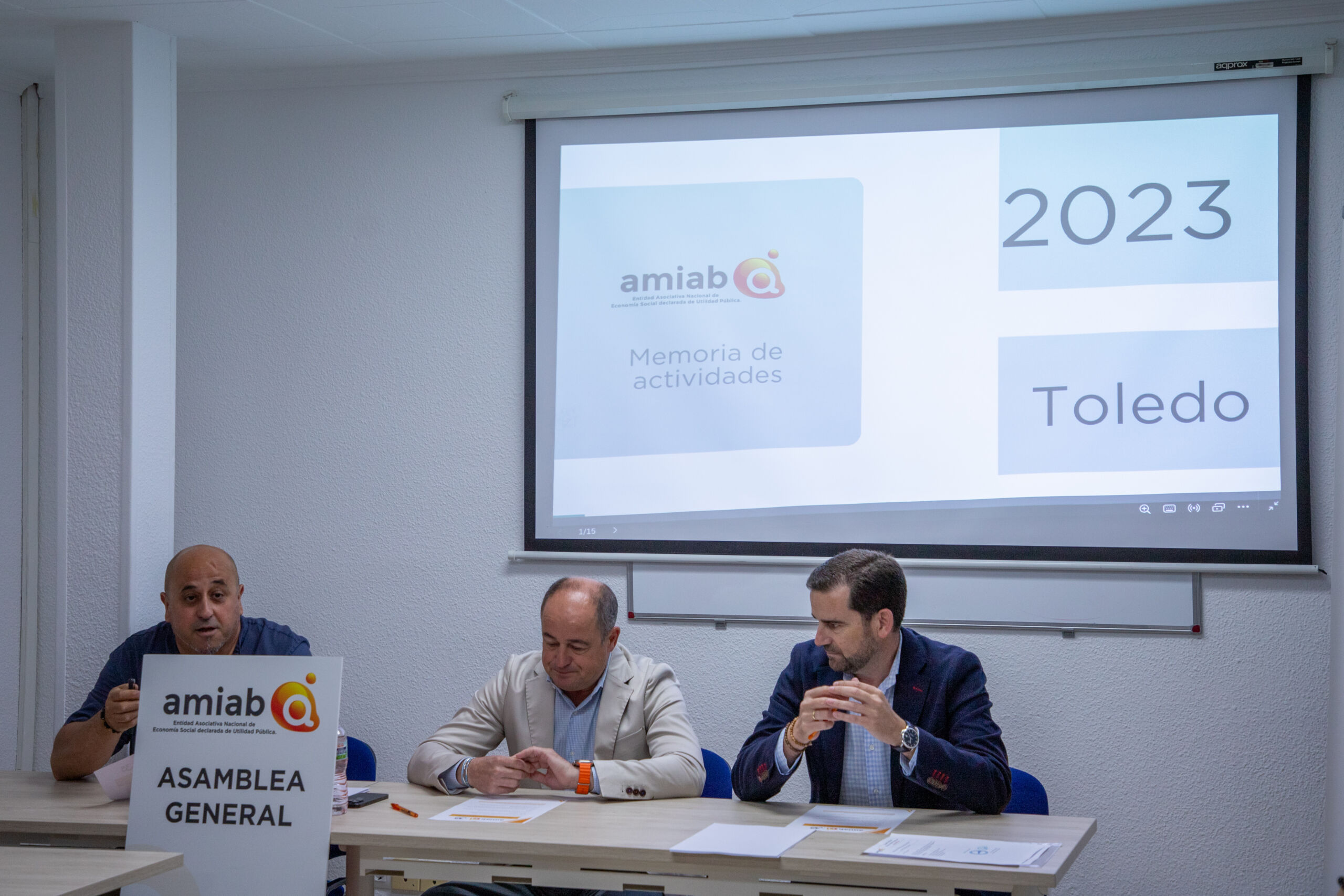 asamblea toledo 2024