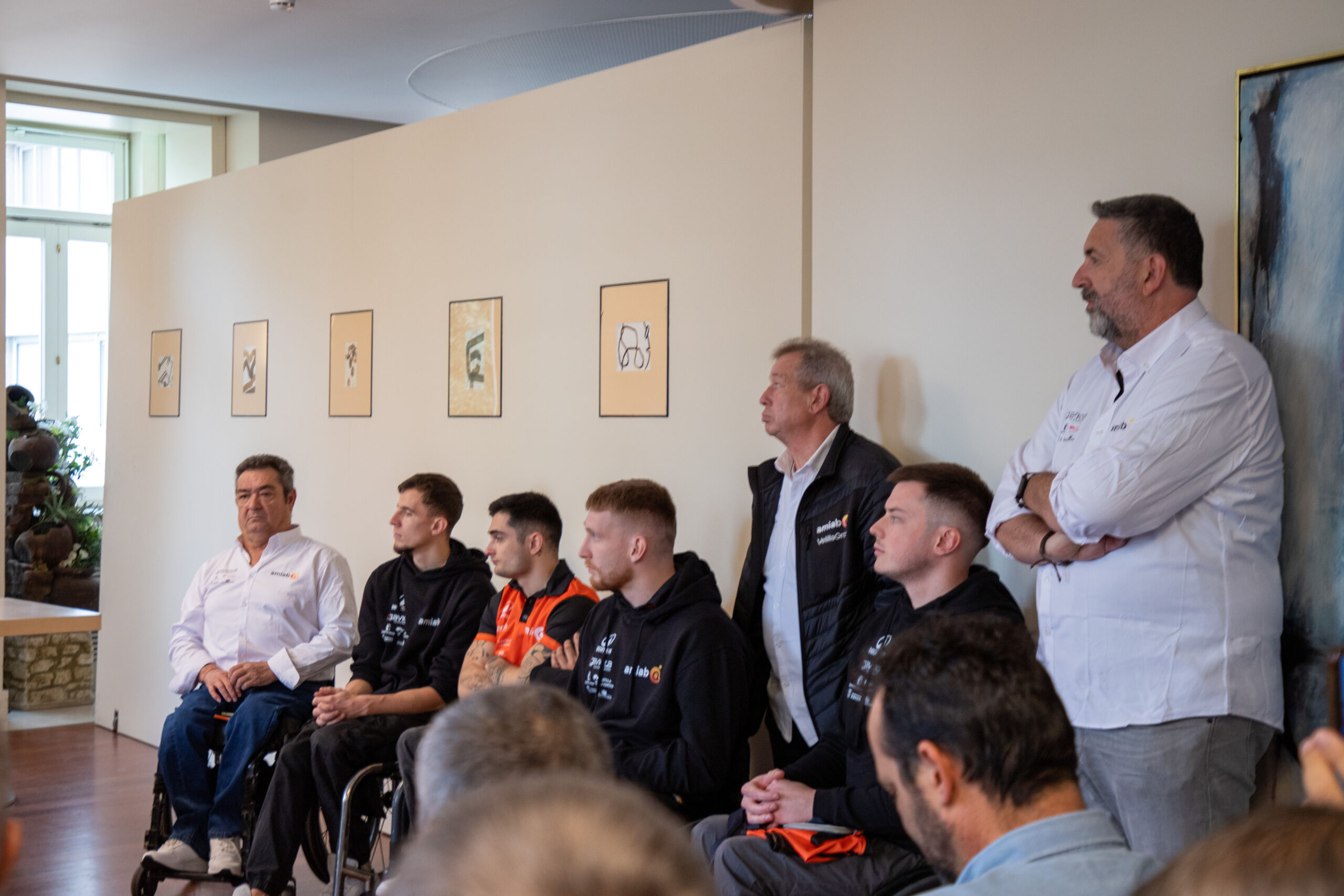 presentacion BSR amiab-17