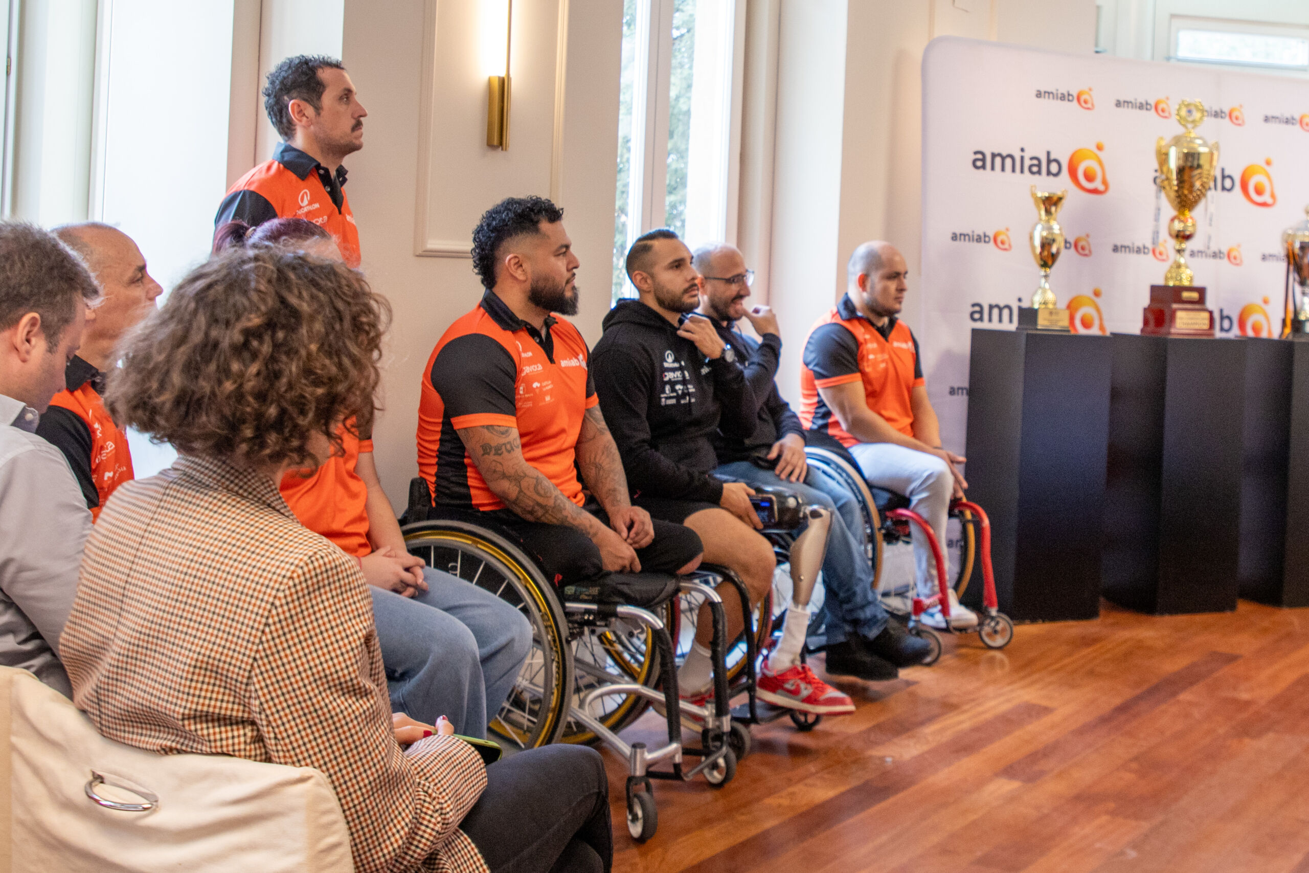 presentacion BSR amiab-18