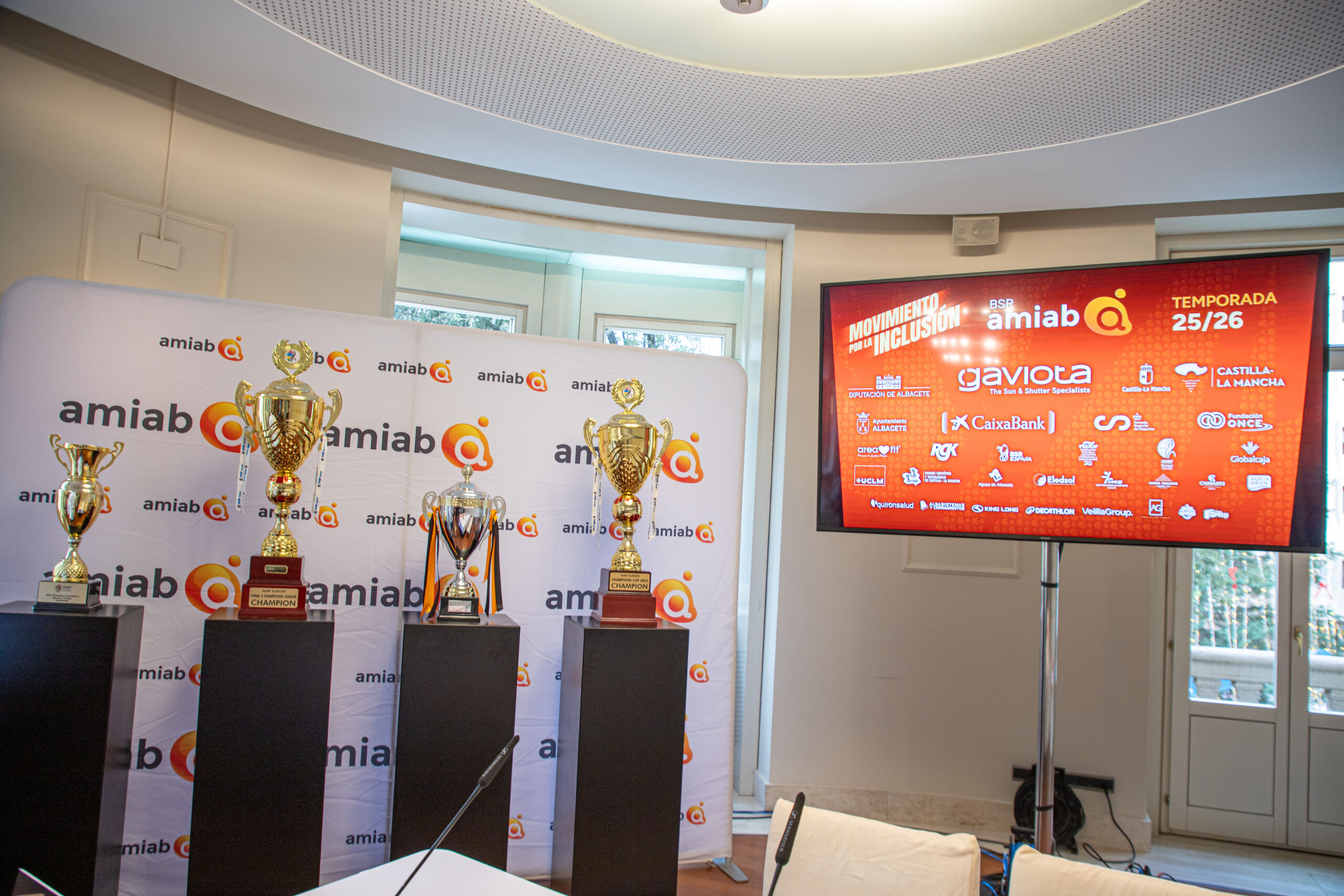 presentacion BSR amiab-2