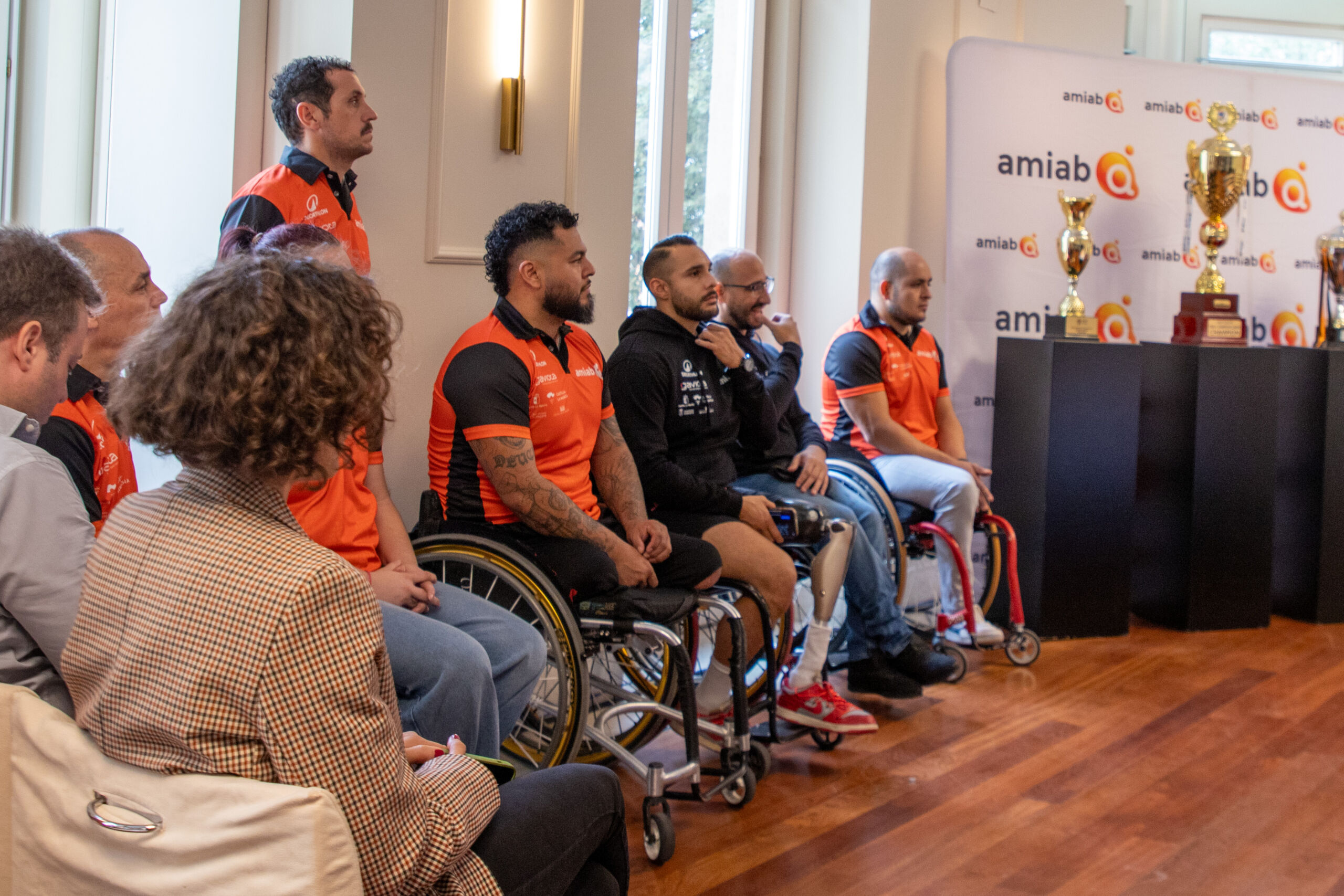 presentacion BSR amiab-4