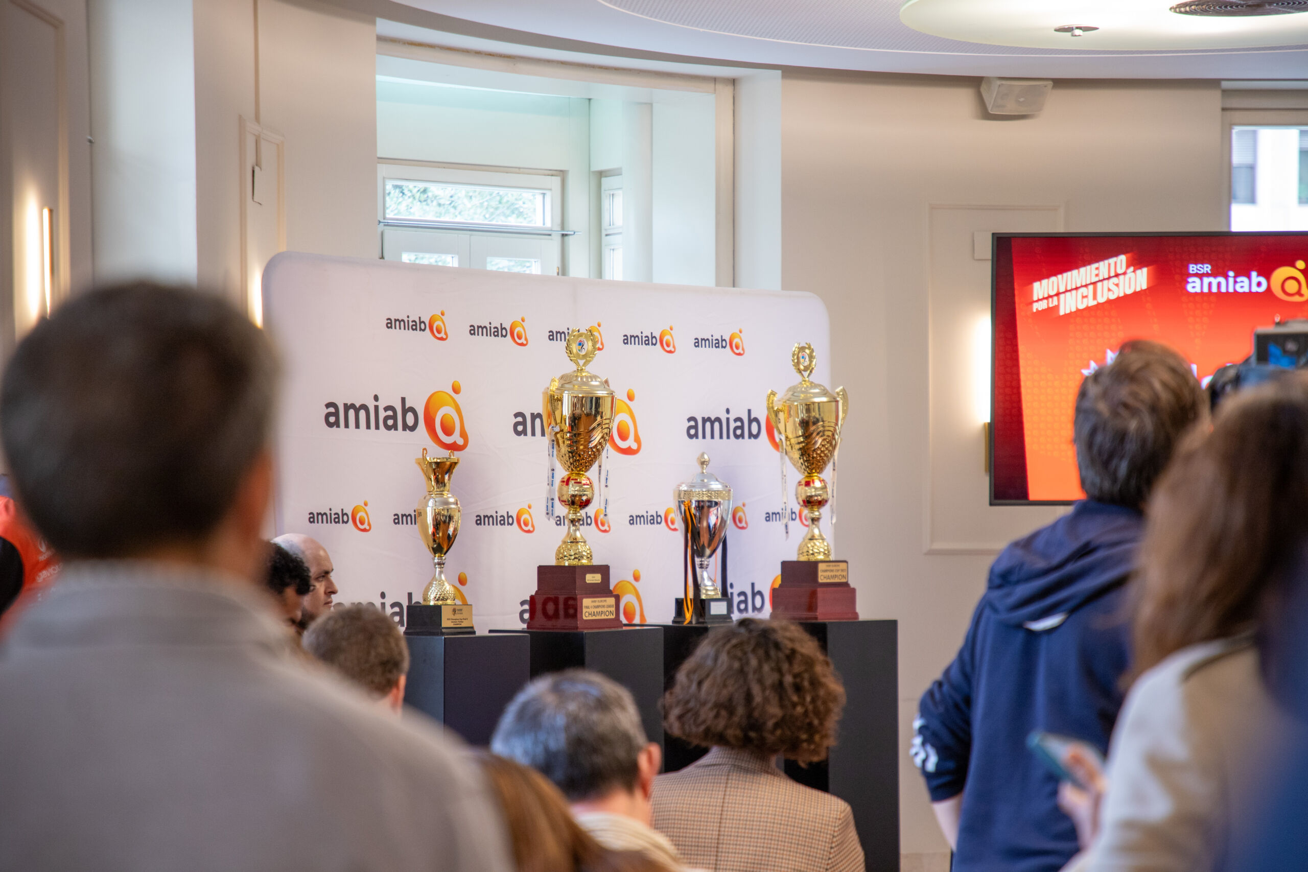 presentacion BSR amiab-5