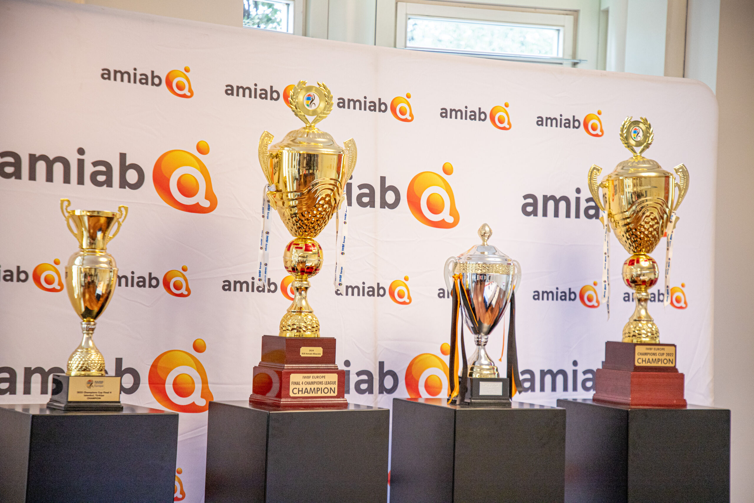 presentacion BSR amiab