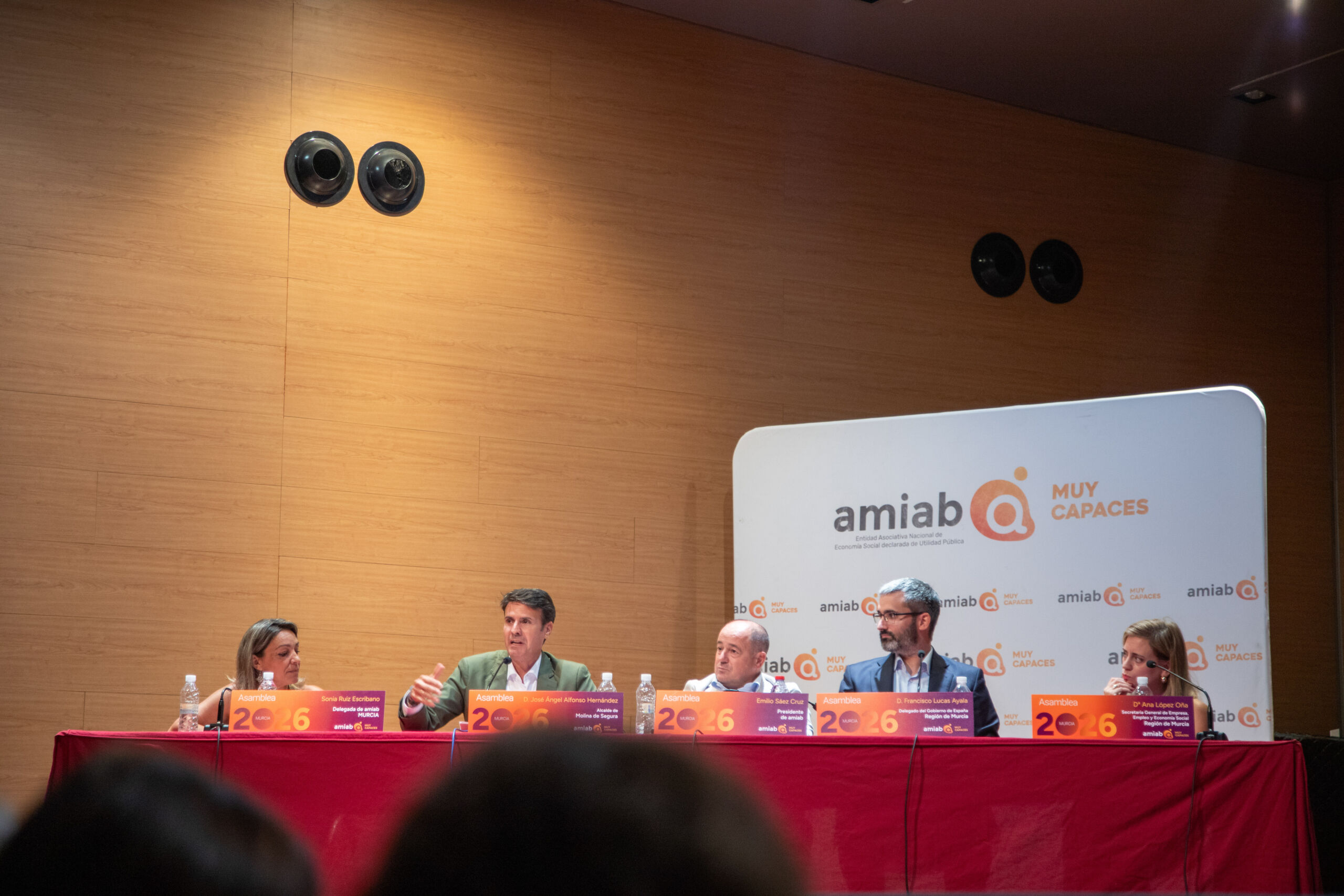 asamblea amiab murcia-23